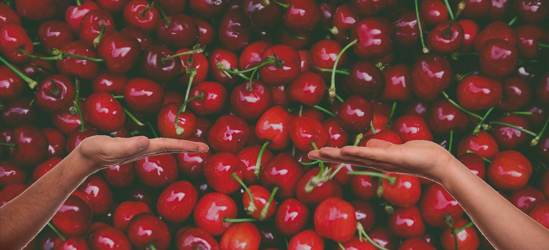 Prijavnica: Prehranska dopolnila – Ali bolje prodaja vizitka ali življenjepis?